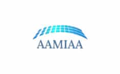 AAMIA The Advanced Air Mobility and Infrastructure Associations of America